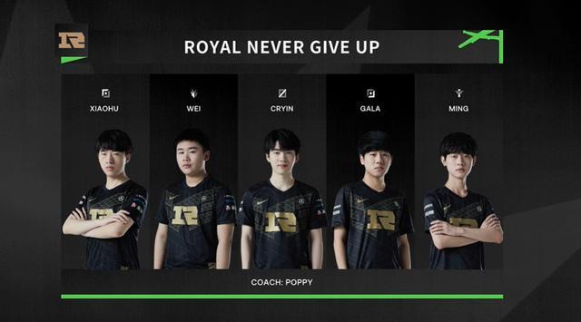 仅展示了两 仅展示了两