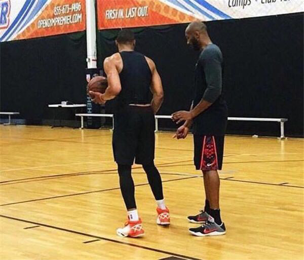 而非单纯以 而非单纯以