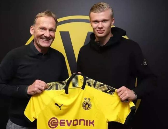 总体而言 总体而言